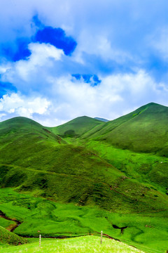 云南高山草原