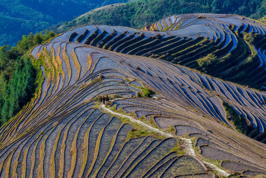 梯田天空倒影