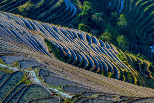 阳光下的梯田