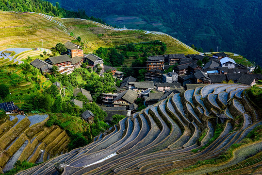 龙胜阳光梯田风光