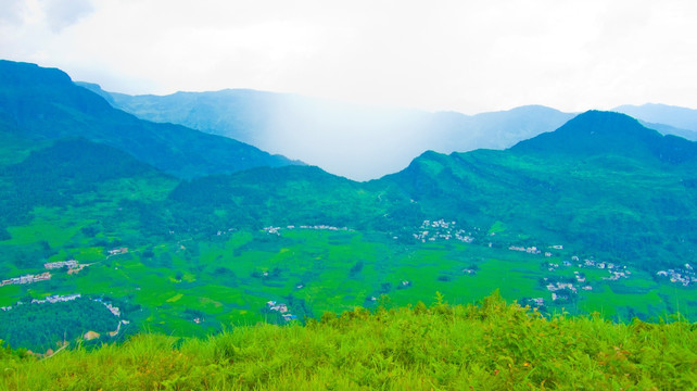 山野 山雨