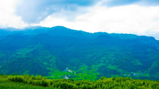 山野