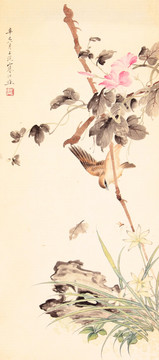 花鳥(niǎo)圖
