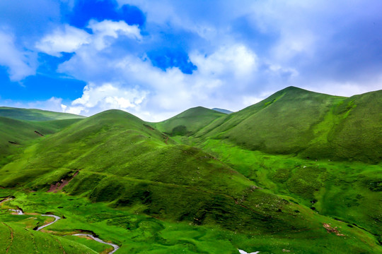 云南会泽大海草山