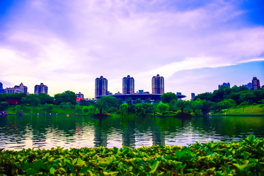 佛山千灯湖景区