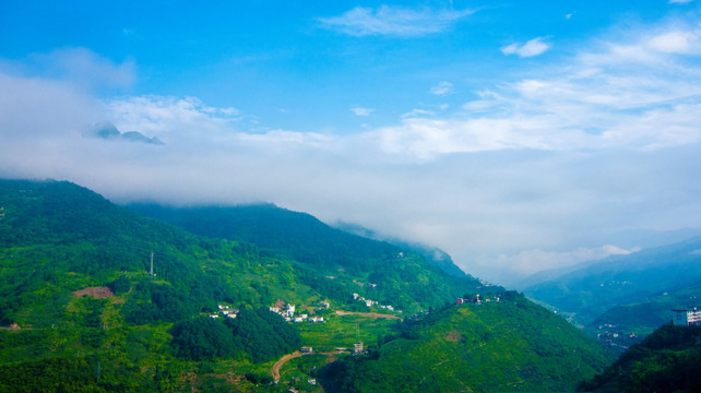 青山 白雾