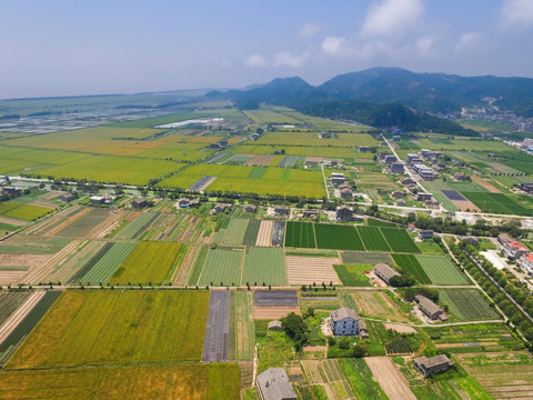 浙江农村