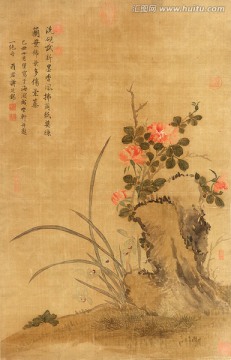 清 蒋廷锡 兰花月季