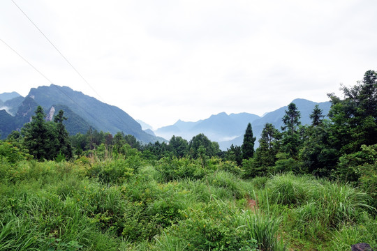 布旗山