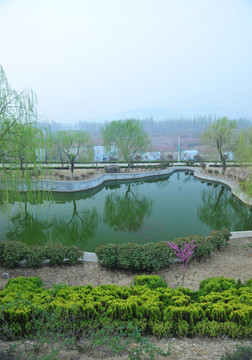 池塘  水塘 公园风景