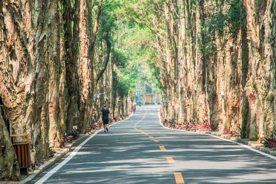 森林小路