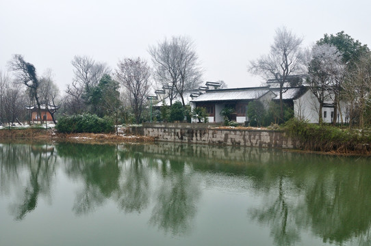 杭州西溪湿地雪景