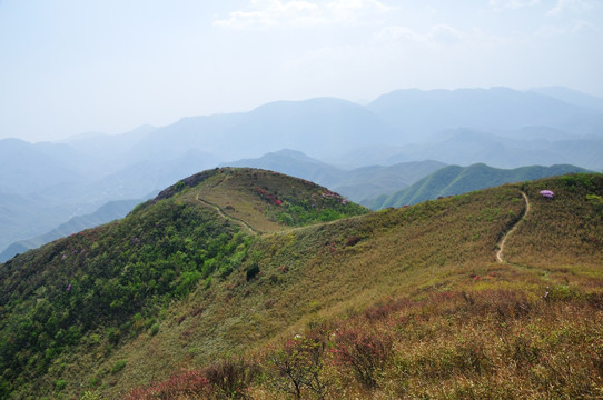 杭州余杭鸬鸟山风光