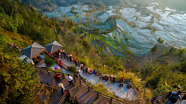 元阳 梯田