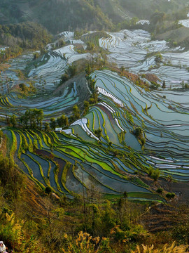 元阳 梯田