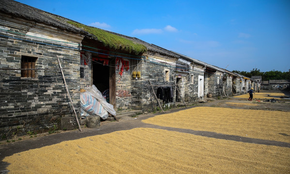 阳西 古村落 大洲村