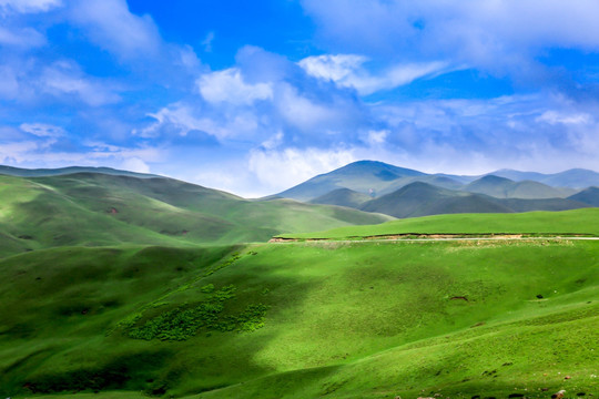 高山牧场