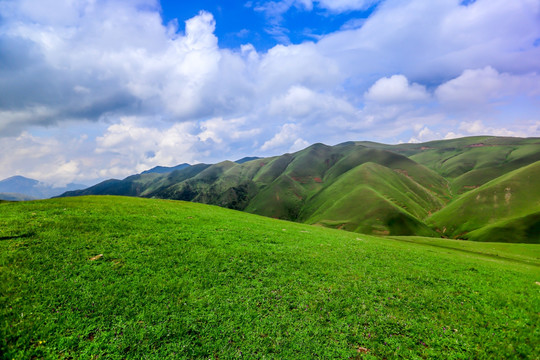 高原草场