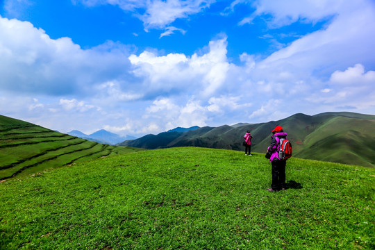 高原草场