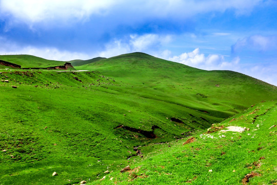 高山牧场