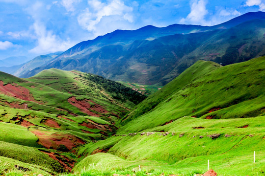 高山牧场