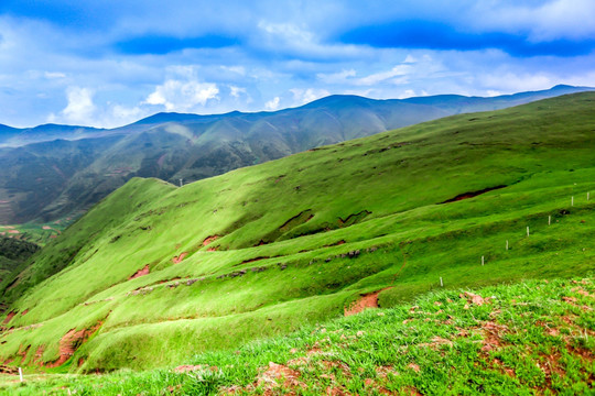 高山牧场