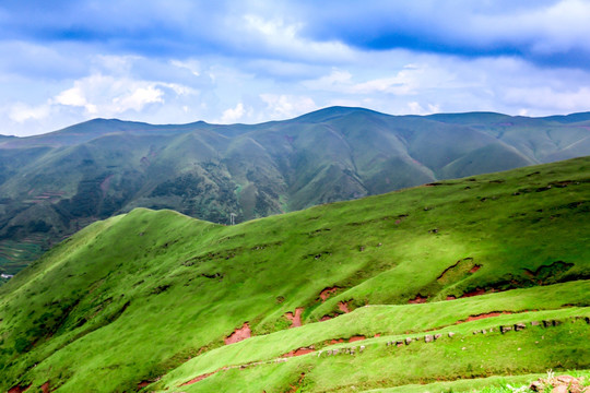 高山牧场