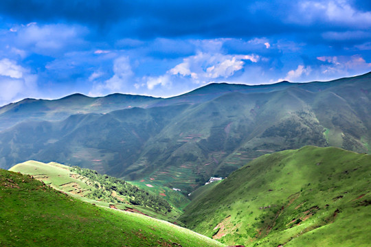 高山牧場