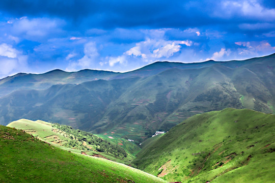 高山牧场