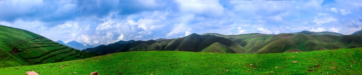 高山牧场