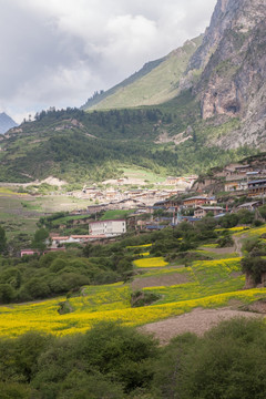 拉尕那景区