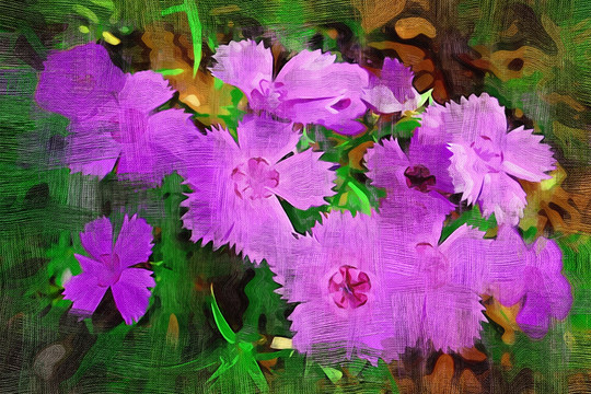 電腦油畫 山花