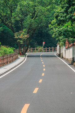 森林大路