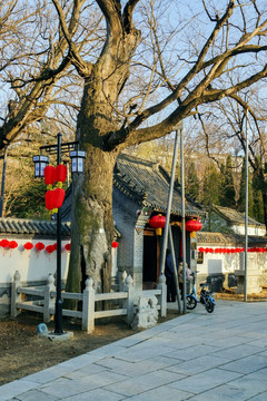 青州范公亭公园三贤祠