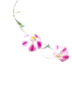 花朵的設(shè)計(jì)素材