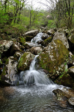 安吉龙王山风光