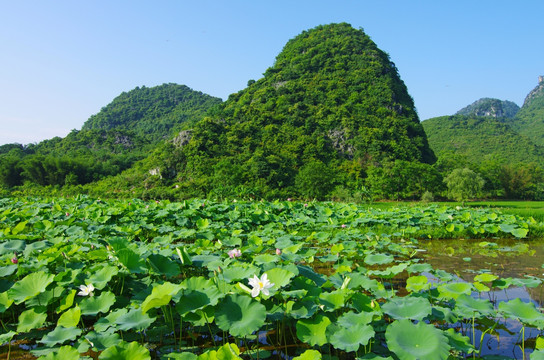 风景