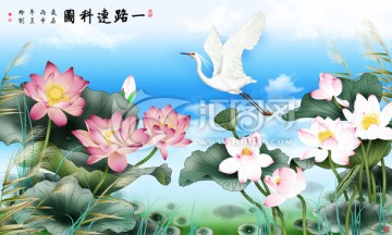 荷花 一路連科