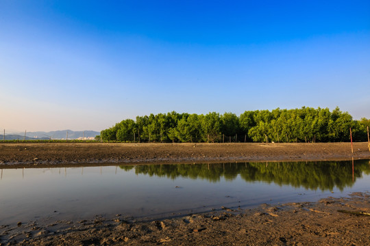 惠东盐洲岛