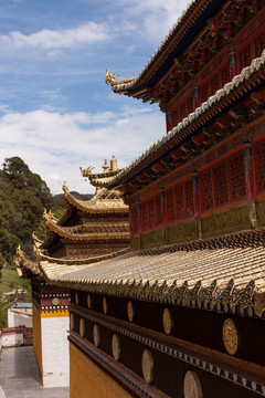 郎木寺 金顶 宗喀巴大殿