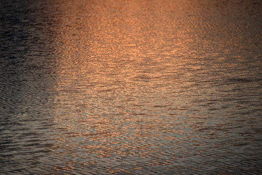 夕阳映照的水面