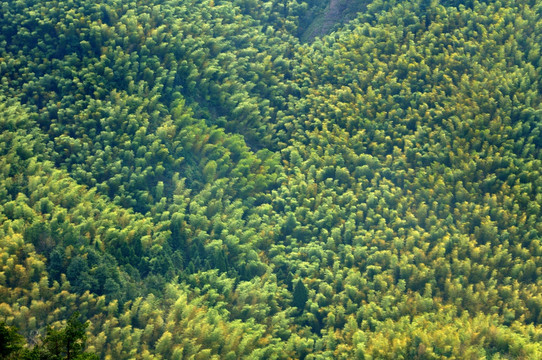 衢州江郎山自然风光