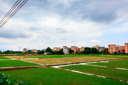 番禺海鸥岛