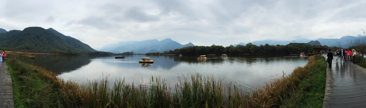 湖北神农架大九湖景区栈道全景