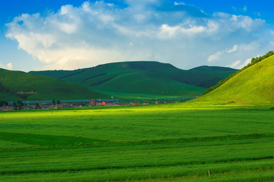 坝上风光 夏天