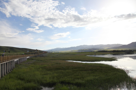 草原湿地