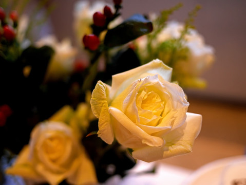 家居摆设 鲜花花瓶 白玫瑰花