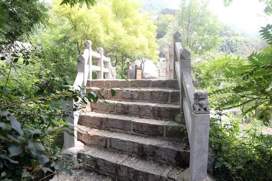 阶梯  石阶