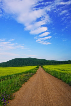 田野之路