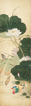 花鳥國畫 超清版